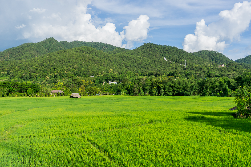 Is Pai Worth Visiting? Everything You Need to Know Before Going - Offbeat  Escapades